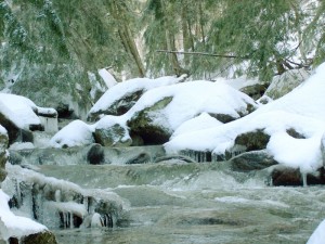 Falls Brook