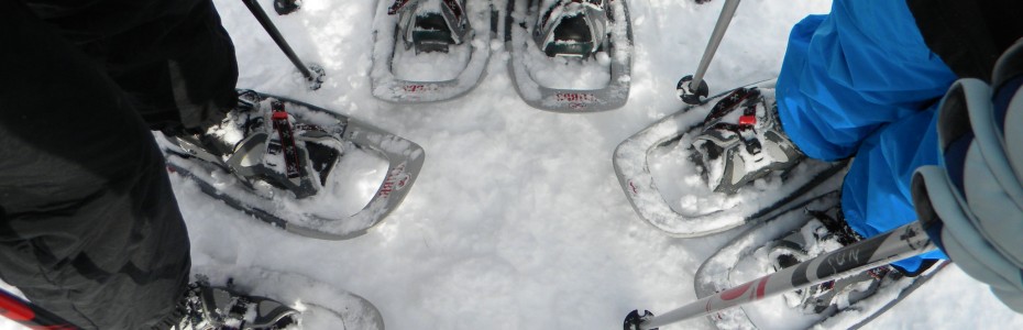 snowshoe circle