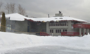 FBC late March2 crop