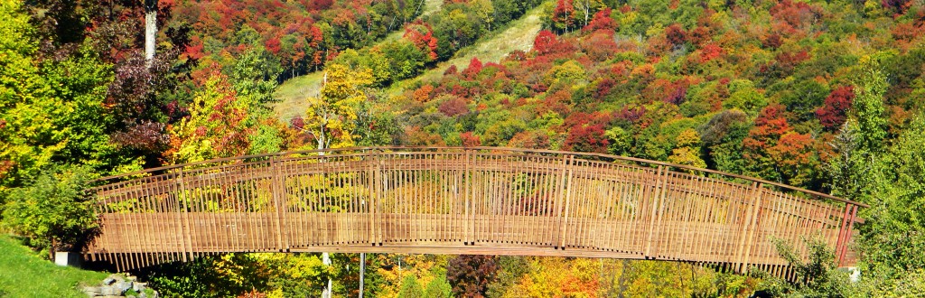 Ski Bridge in fall crop